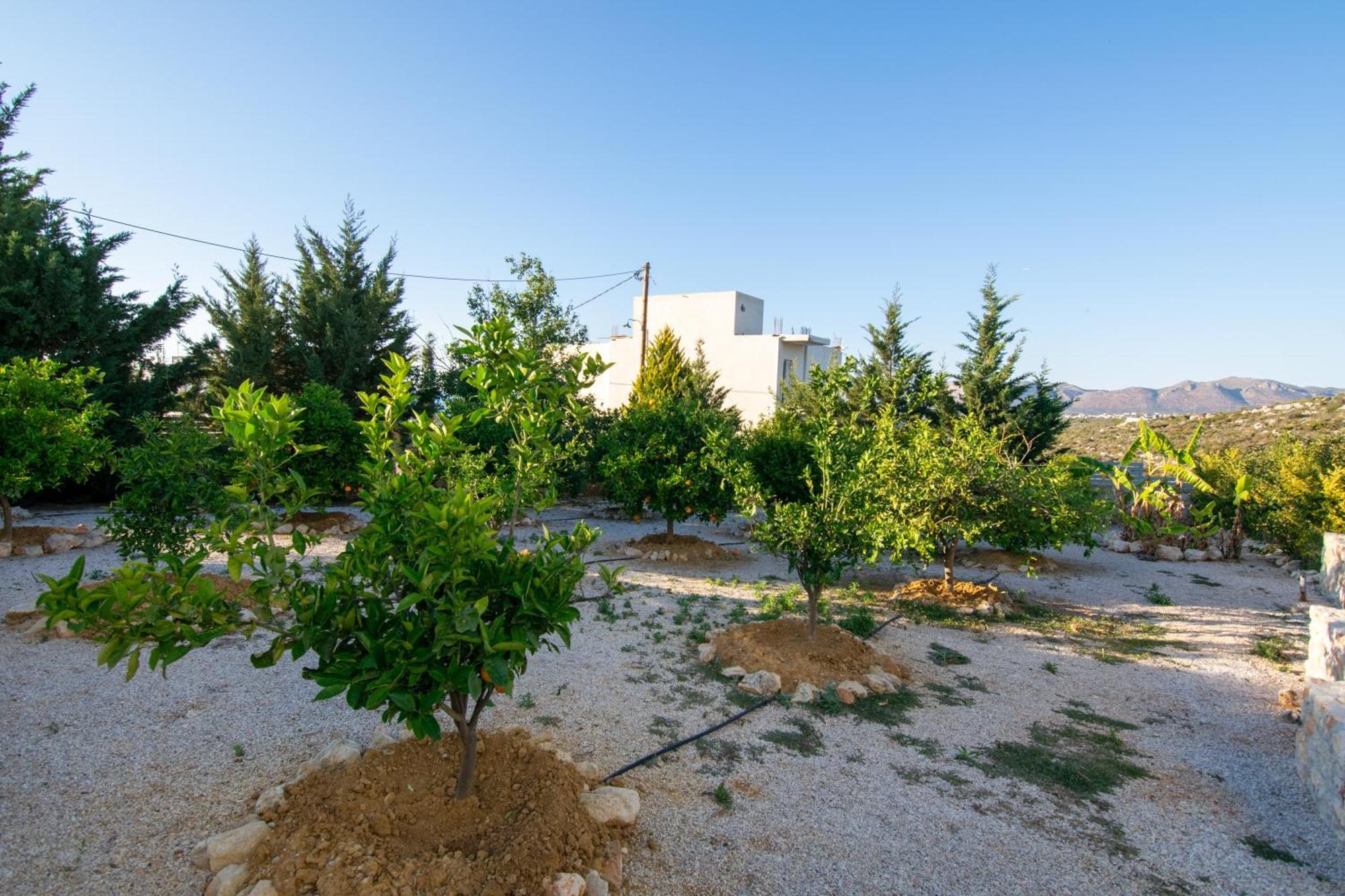 Κatakis Villas Agios Onoufrios Exterior photo